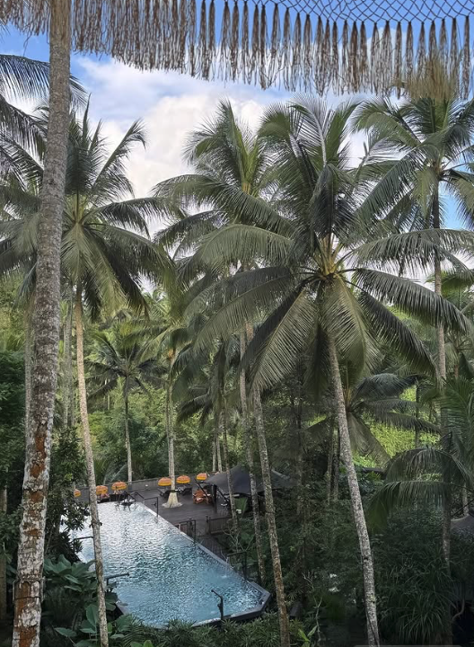 Screenshot 2025-06-24 at 9.08.38 AM