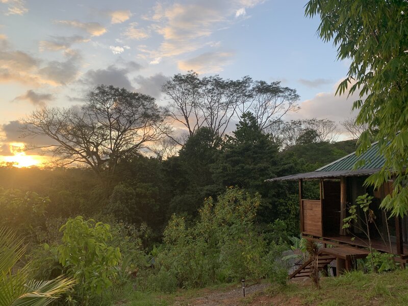 Sunset Jungle Cabin