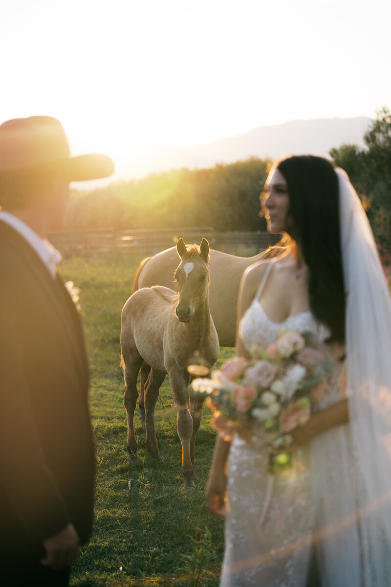 Mary_Luke_jacqueophoto_Sneak-9