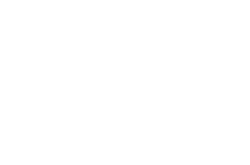 Logo-Wit