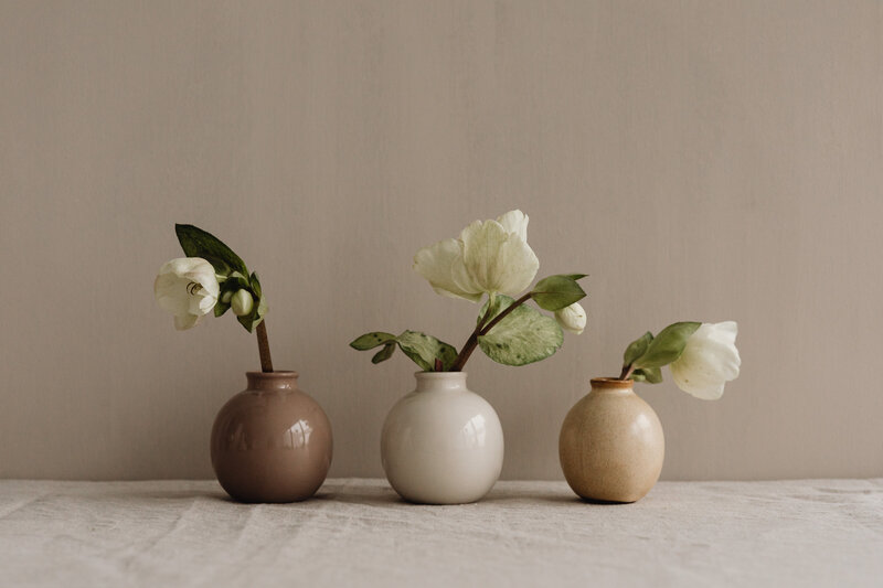 kaboompics_flowers-in-small-ceramic-vases-beige-neutral-aesthetics-30222