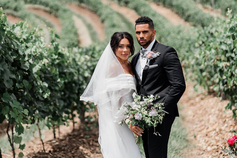 bride and groom portrait in a winery field