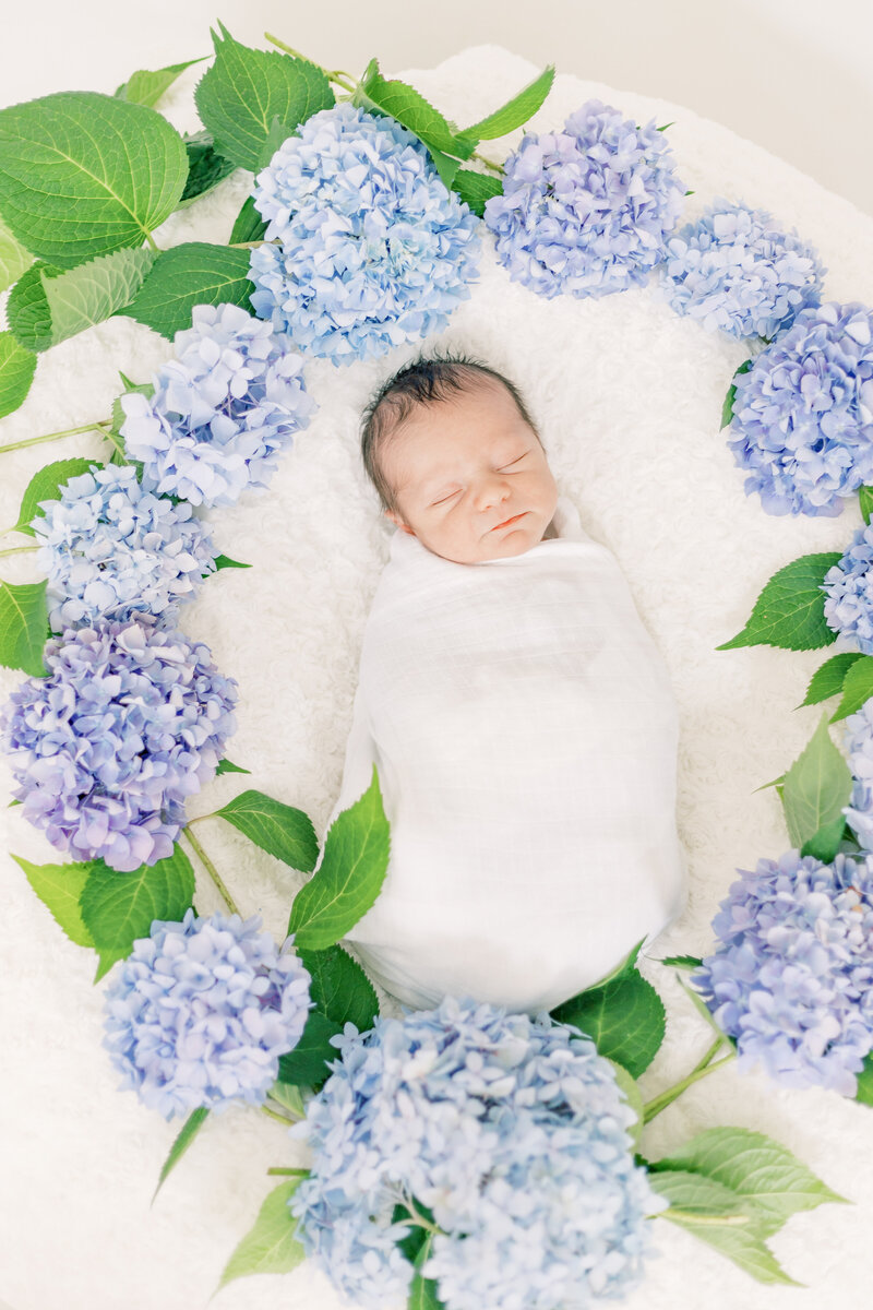 south jersey newborn photographer-28