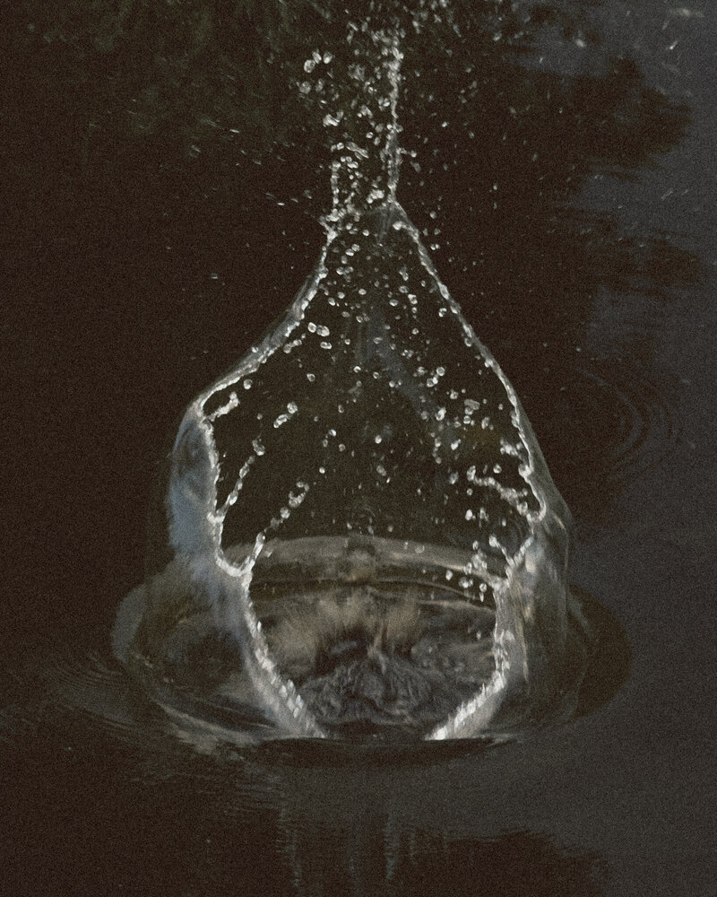 _SCP0546-2
