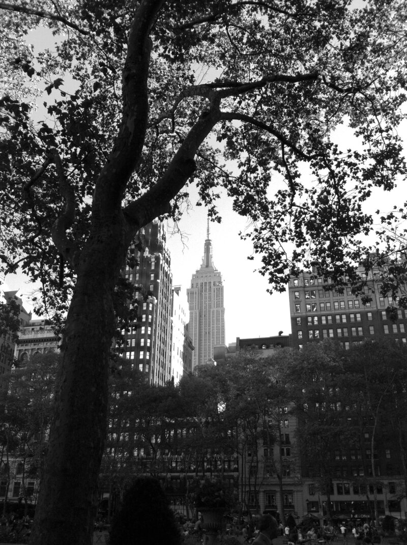 empire state building from central park