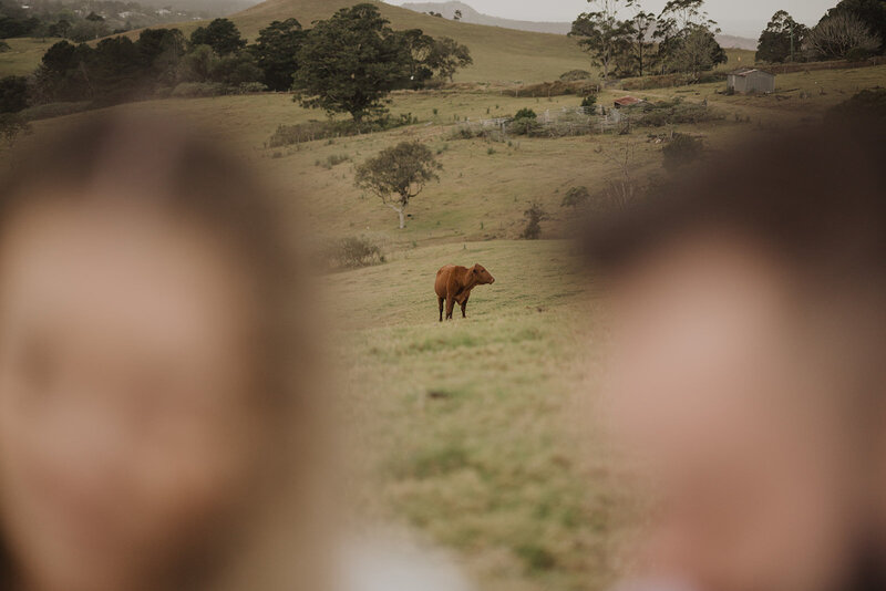 Emily + Tim Couple Portraits - Maleny Hinterland -109475