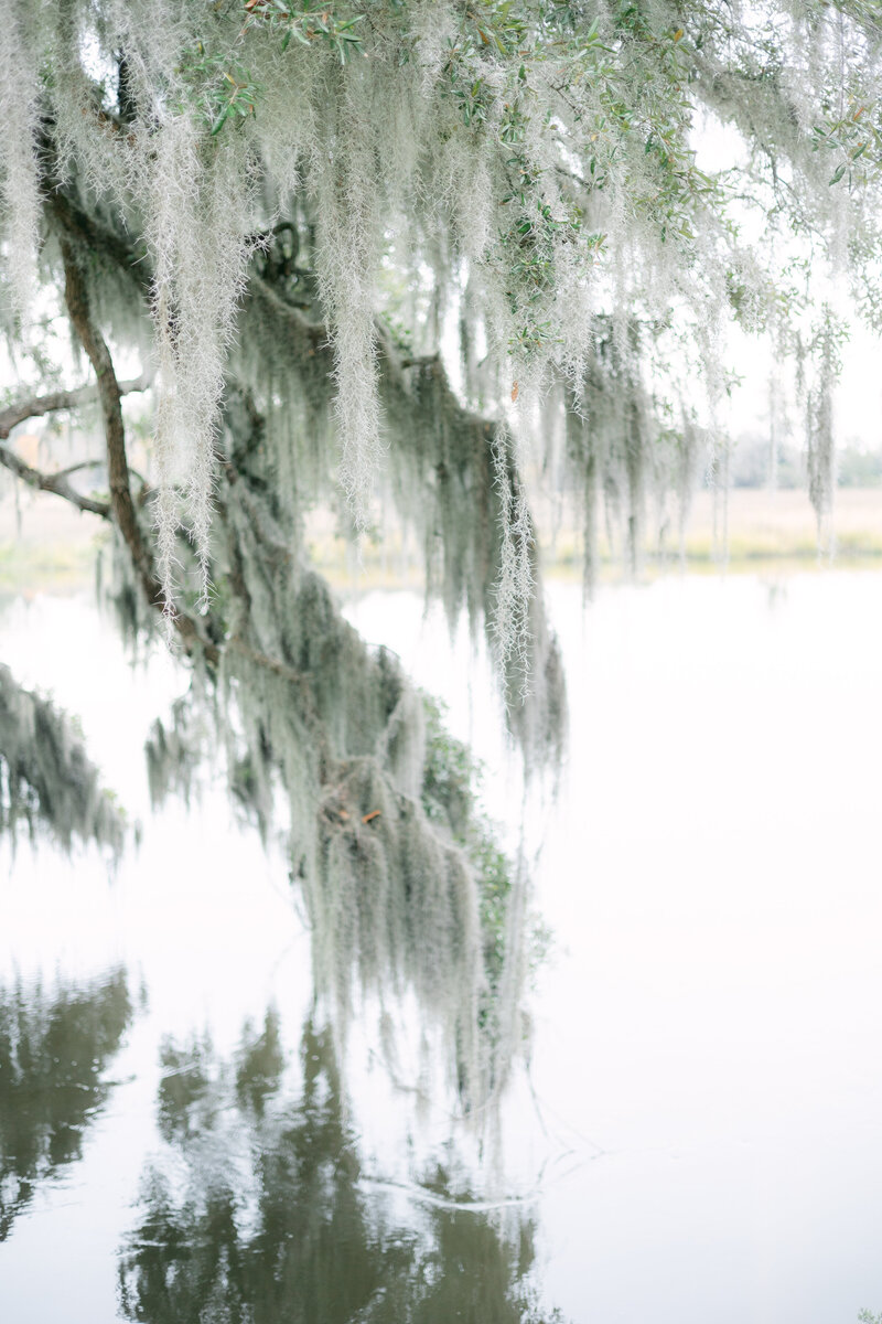 Katherine Horton Photography Sarah & Trey's Wedding Day Bride & Groom Portraits Color 157