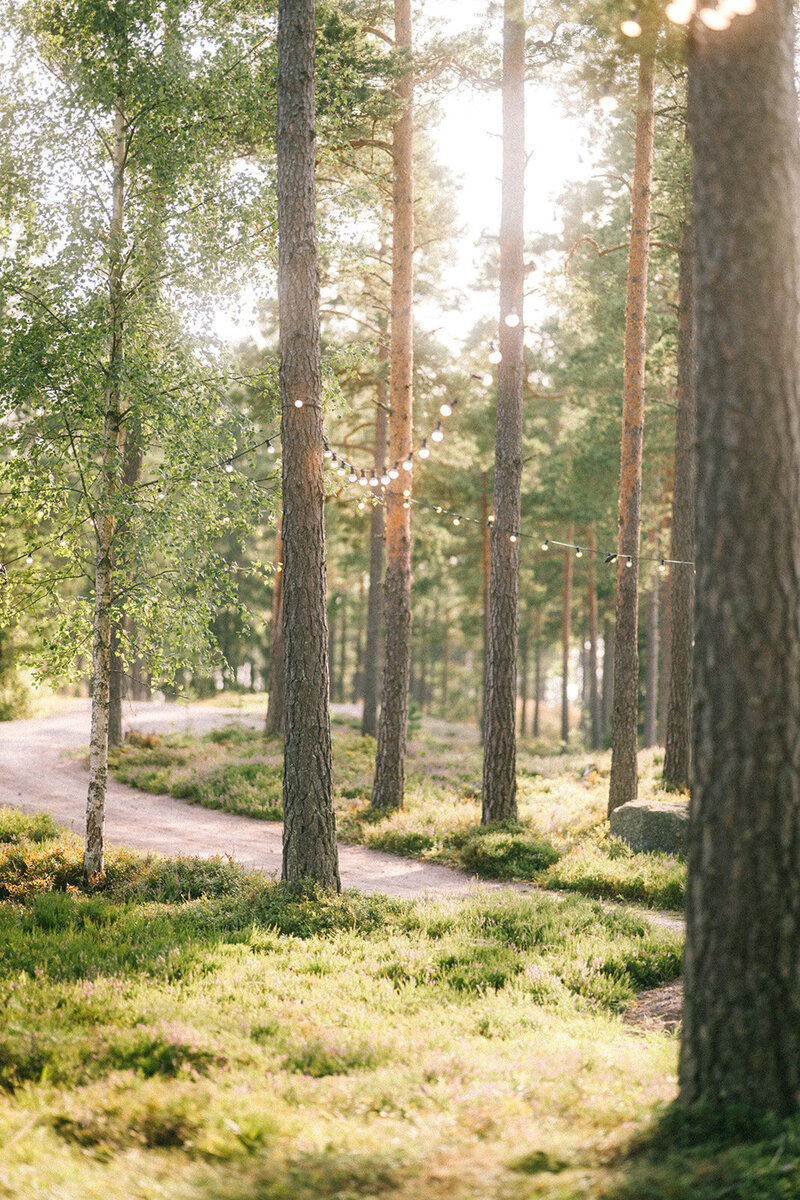 98valmis-509_websize