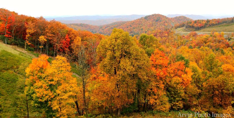 AUTUMN IN THE NC MOUNTAINS