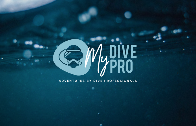 My-Dive-Pro-Branding 2020-12-29 at 12.03.57