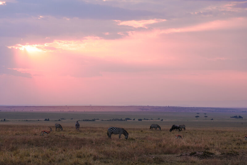 safariedited-133 AB