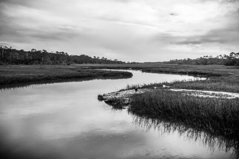 black and white photo of salt marsh with trees in the distance