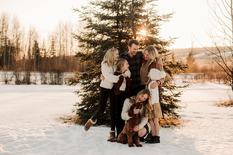 Australian-Labradoodle-Puppies-Calgary2019 (39)