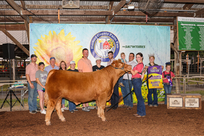livestock photography