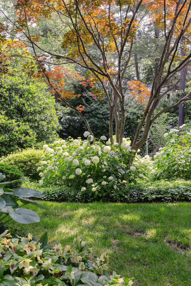 Bright green yard and landscaping with orange leaf tree