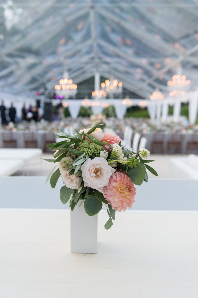 Clear top tented home wedding in Washington, Connecticut