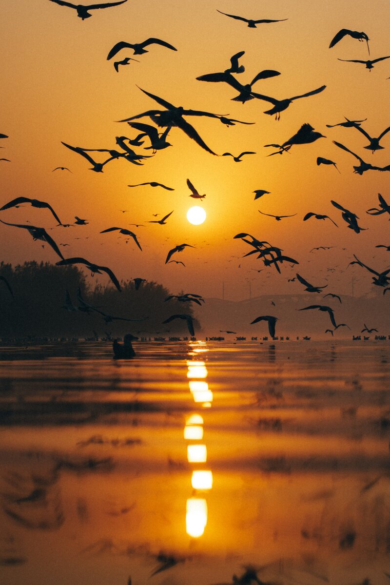 anuj-yadav--r2i9eOg9mA-unsplash