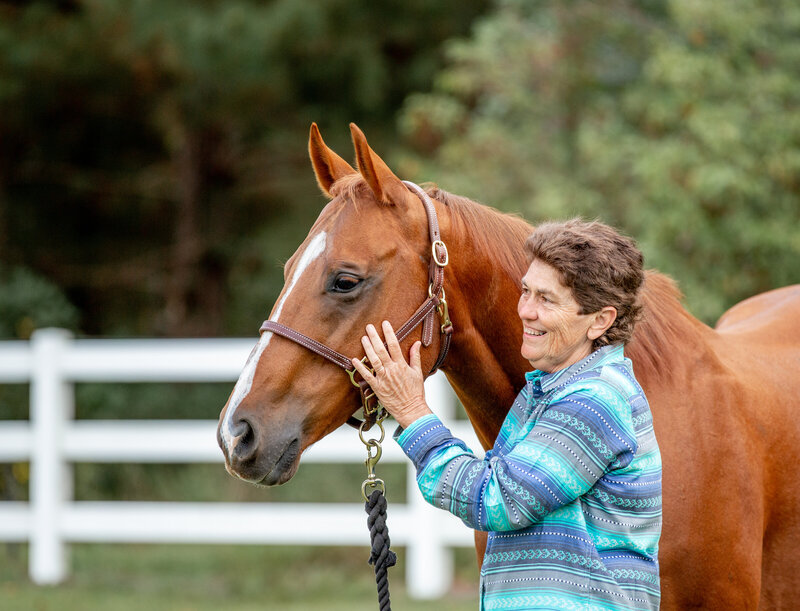 NC Equine Photographer