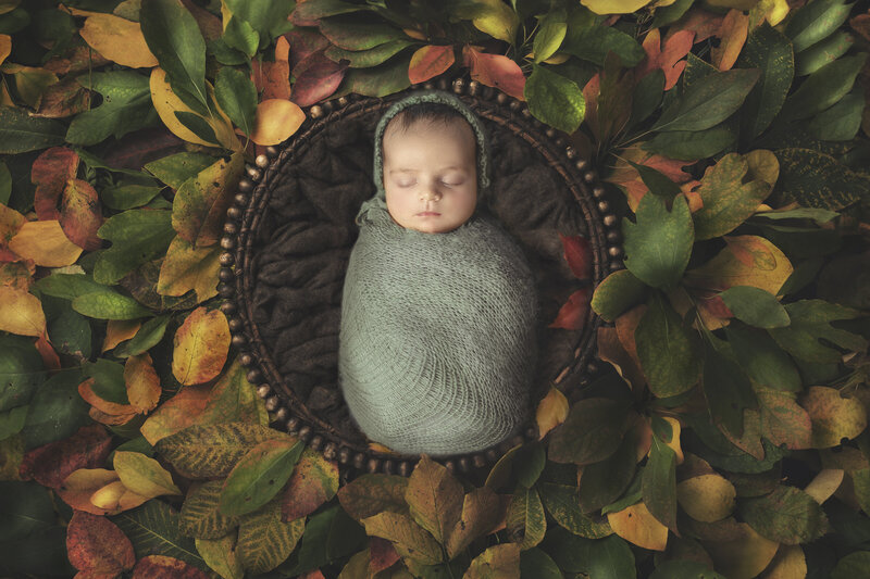  "Newborn baby peacefully sleeping in a bed of soft fall leaves, surrounded by autumn colors, captured in a cozy and serene fine art newborn photography session in Ottawa."