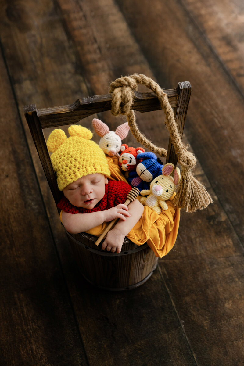 newborn in bucket wood floor Winnie the Pooh