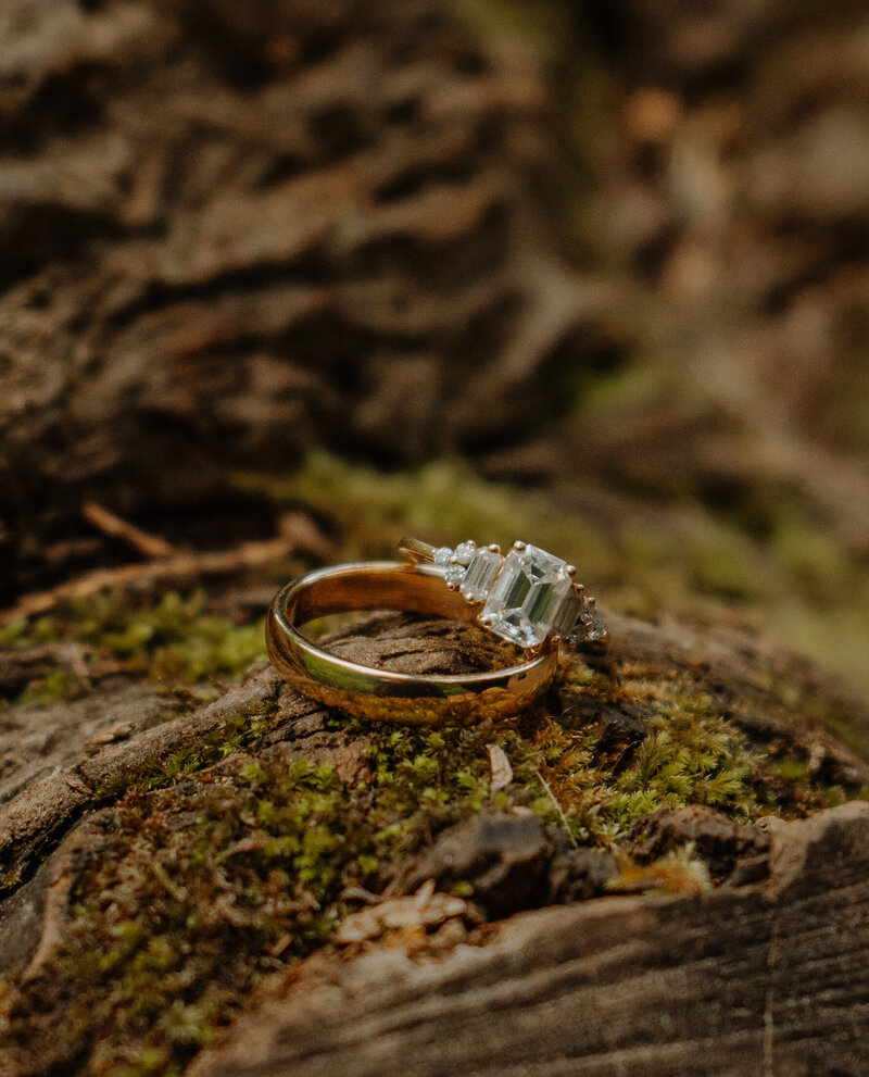 Two gold engagement rings on mossy tree