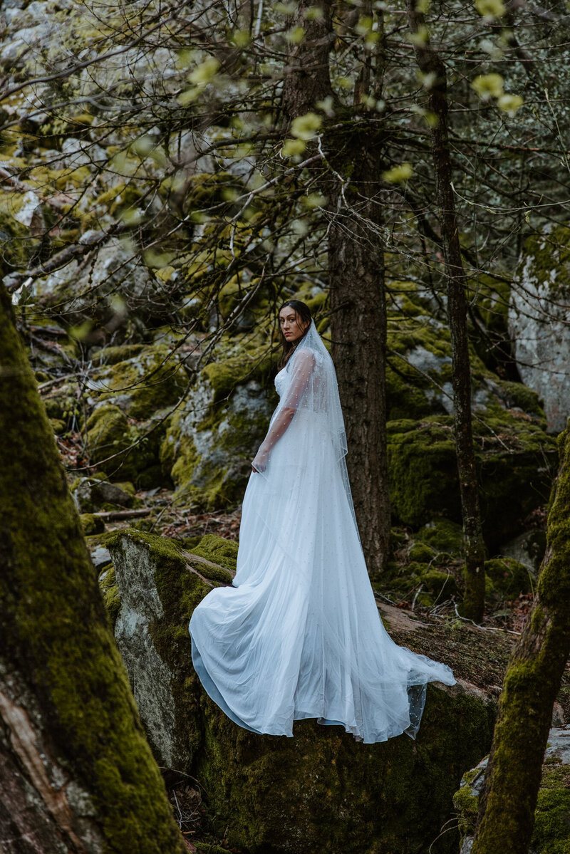 Bride walking through lush PNW forest with moss and towering trees