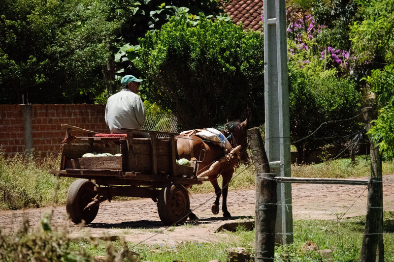 GSWParaguay362