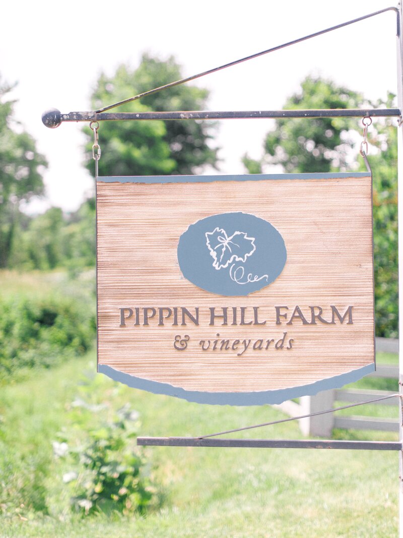 Pippin Hill Wedding Charlottesville Virginia Photographer_16