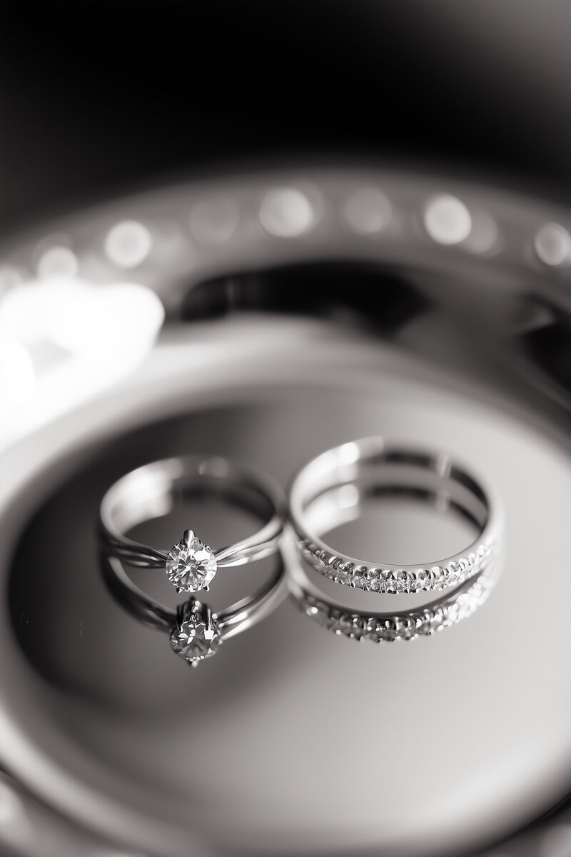 Noir-Et-Noir-Photo-120