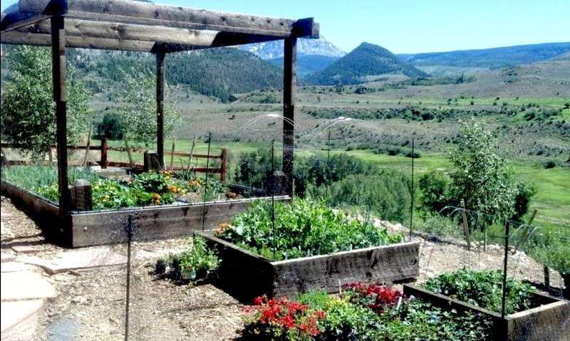 Three garden boxes in a backyard are set against a view of the Rocky Mountains.