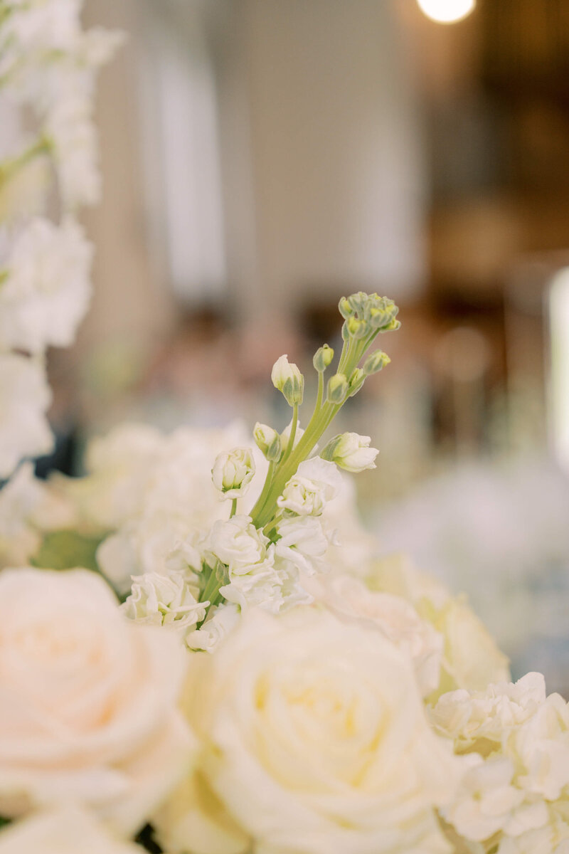 Hawkstone Hall & Gardens Wedding_71