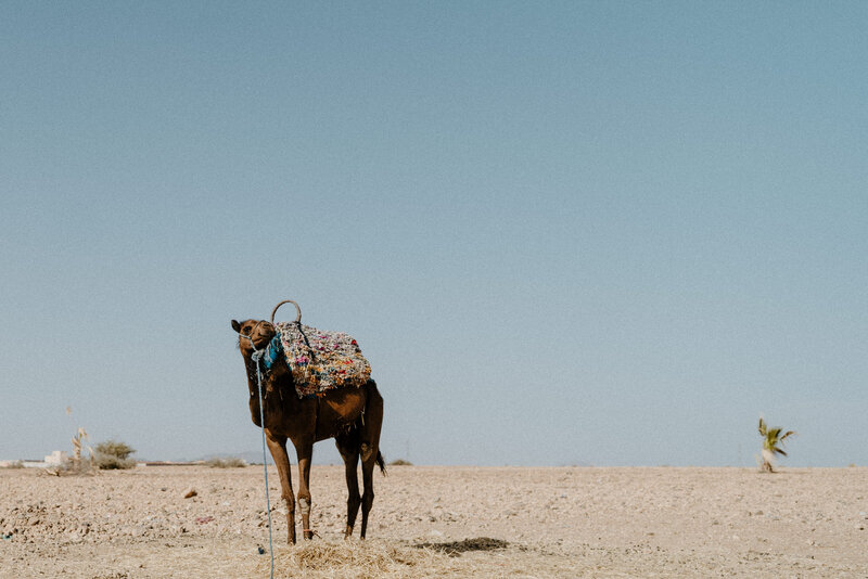marrakech morocco