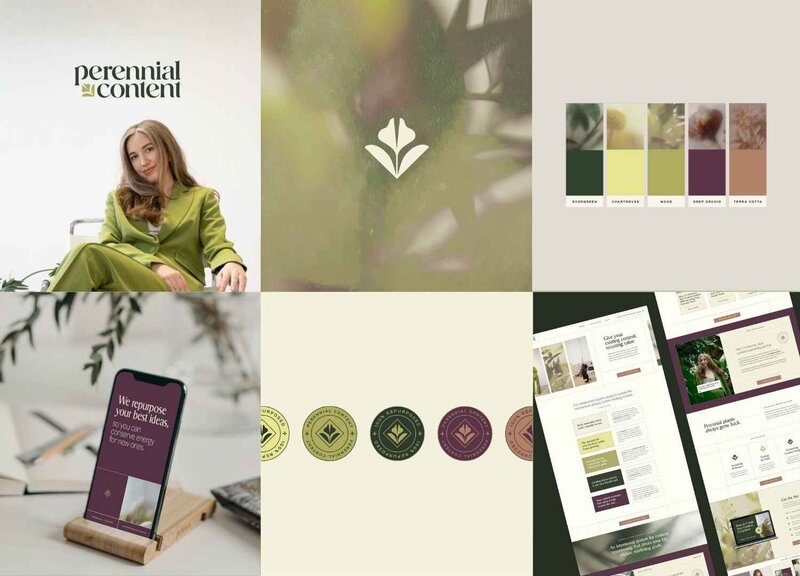 Creative Brand Design Portfolio