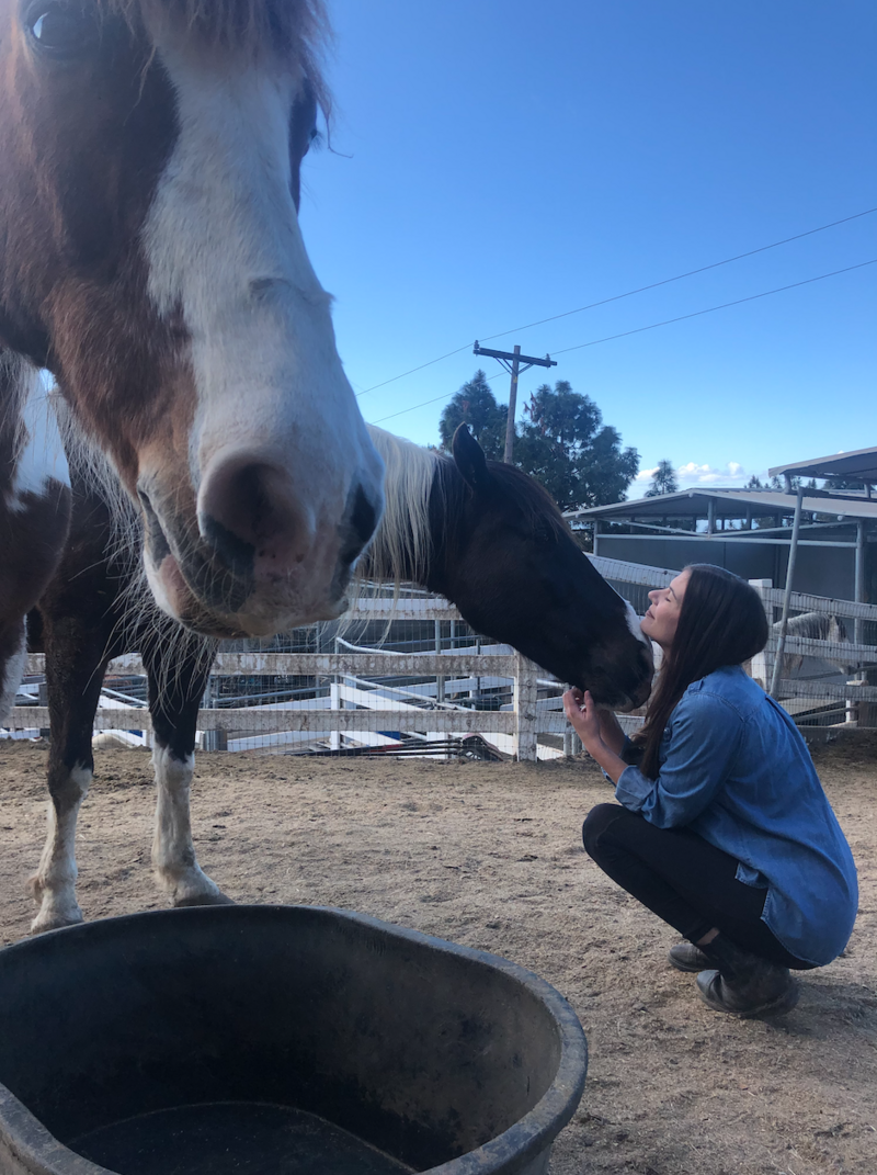 Image of Angela squatting down in a pasture with a horse's nose cuddled up to Angela's chest.