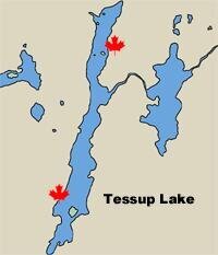 tessup
