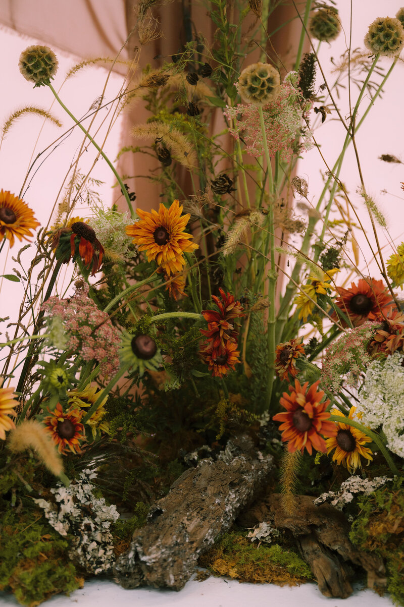 Close up of sunflowers