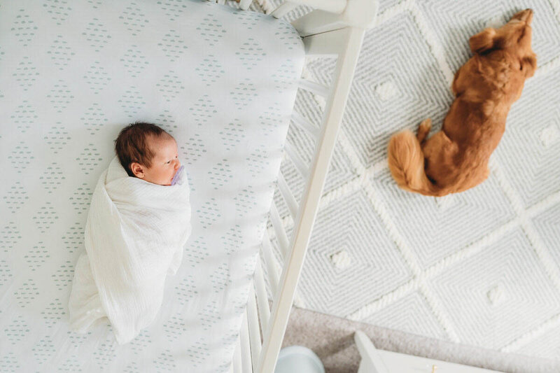 Margo-newborn-pet-and-newborn-bethesda-md
