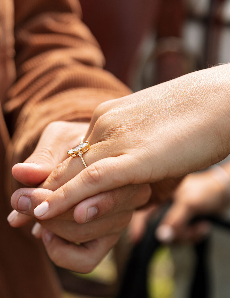 Glacier Park Engagement7137