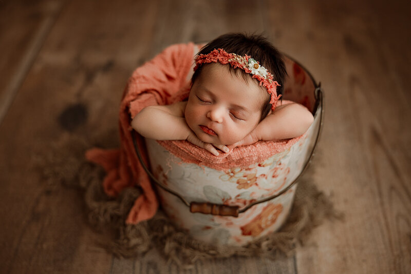 newborn photography north al
