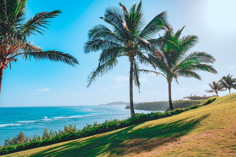 Girlboss-Designer-Travel-Tropical-14