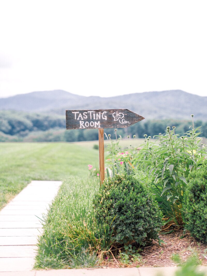 Pippin Hill Wedding Charlottesville Virginia Photographer_23
