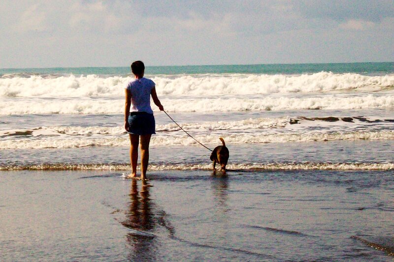 girl and dog walking along water at the beach