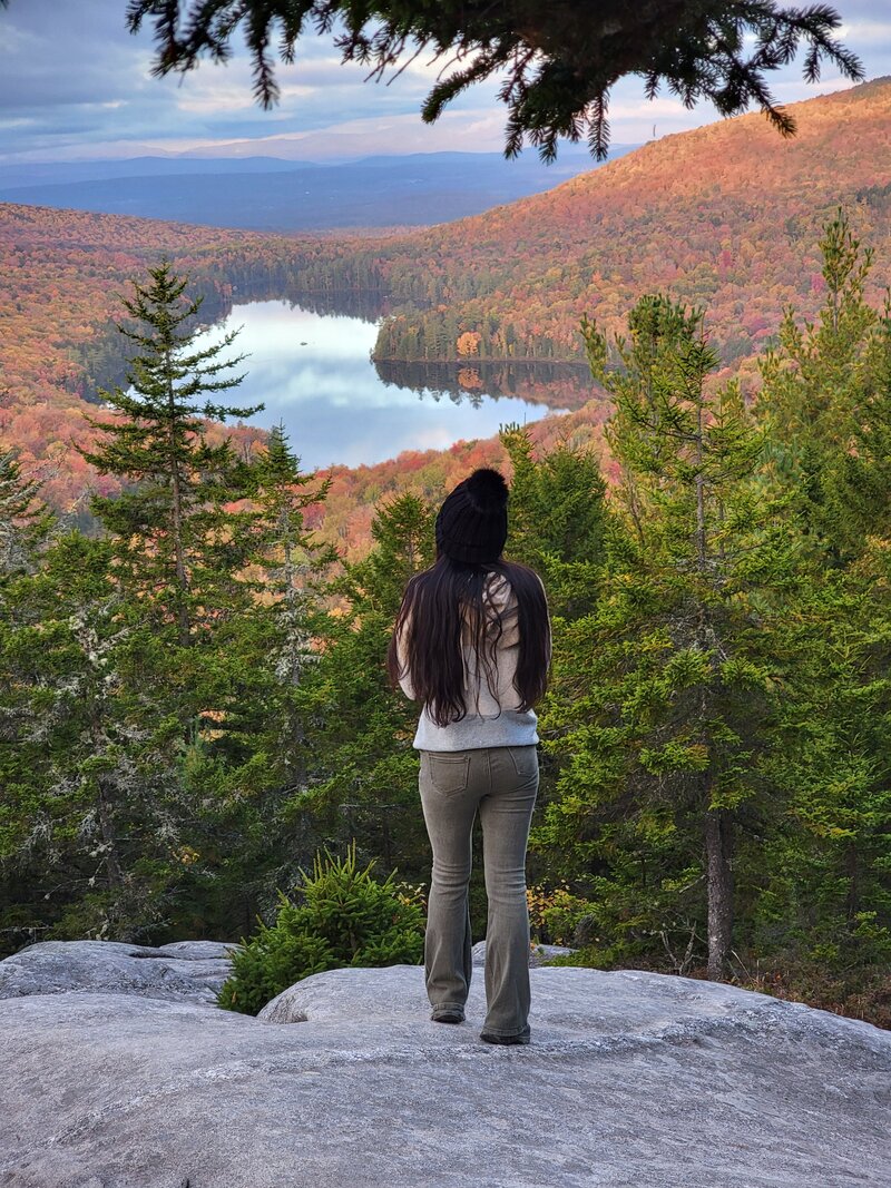 landscape view of groton state forest