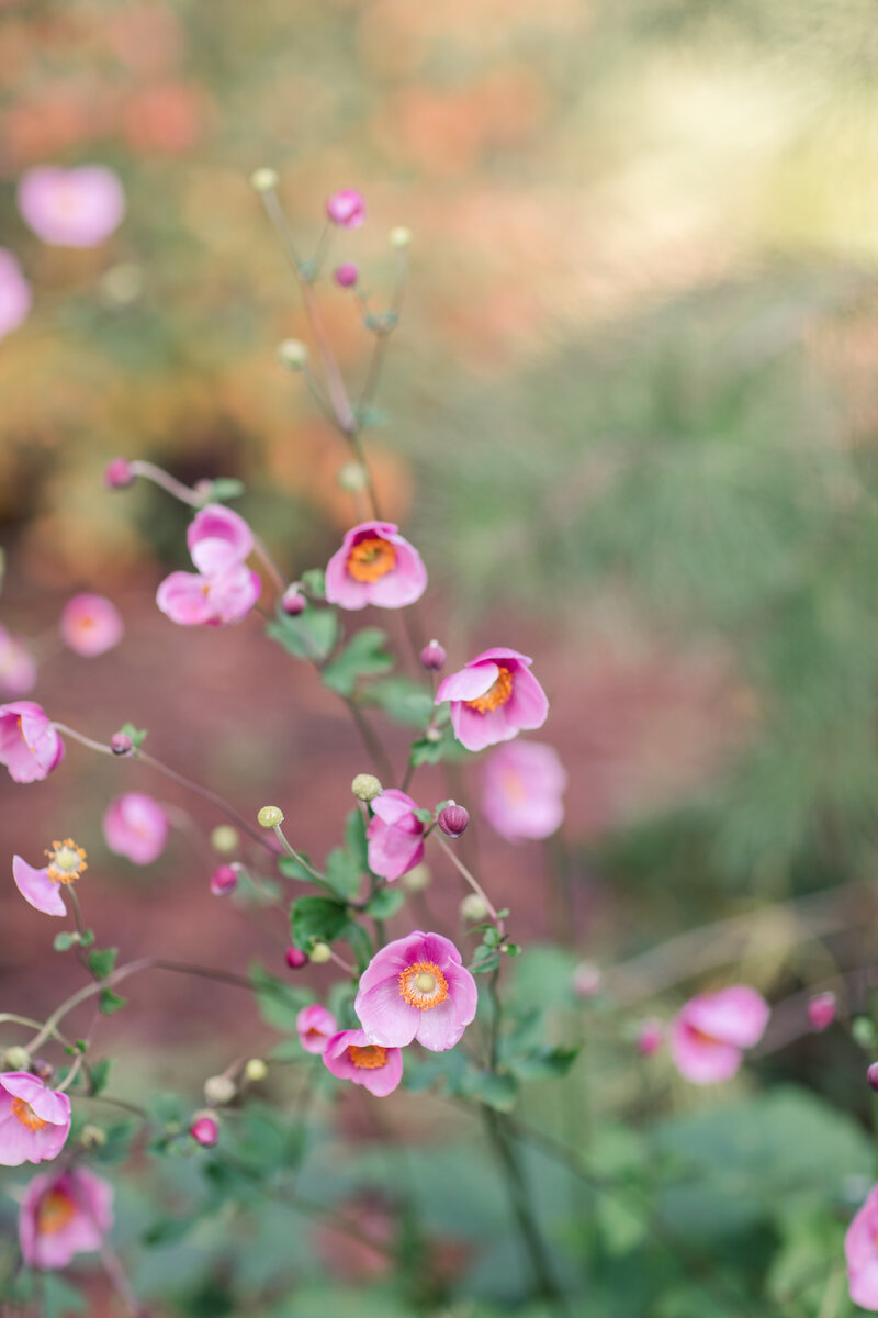 Jennifer B Photography-Ithaca-NY-Engagement Session-Davey and Katie-2020-0002