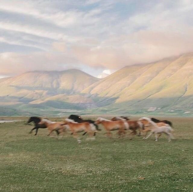 933bf9cfba710820fd4de764a10cfa8a