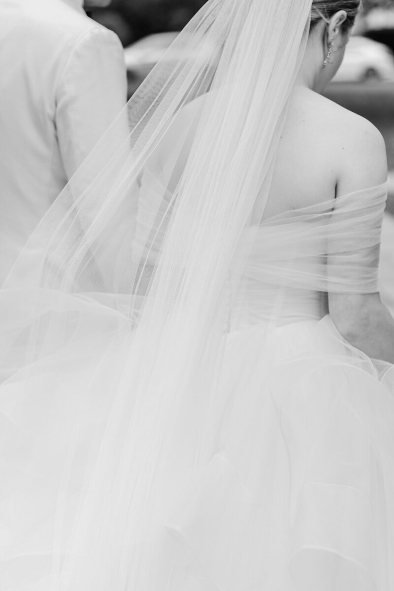 bride-groom-portrait-veil