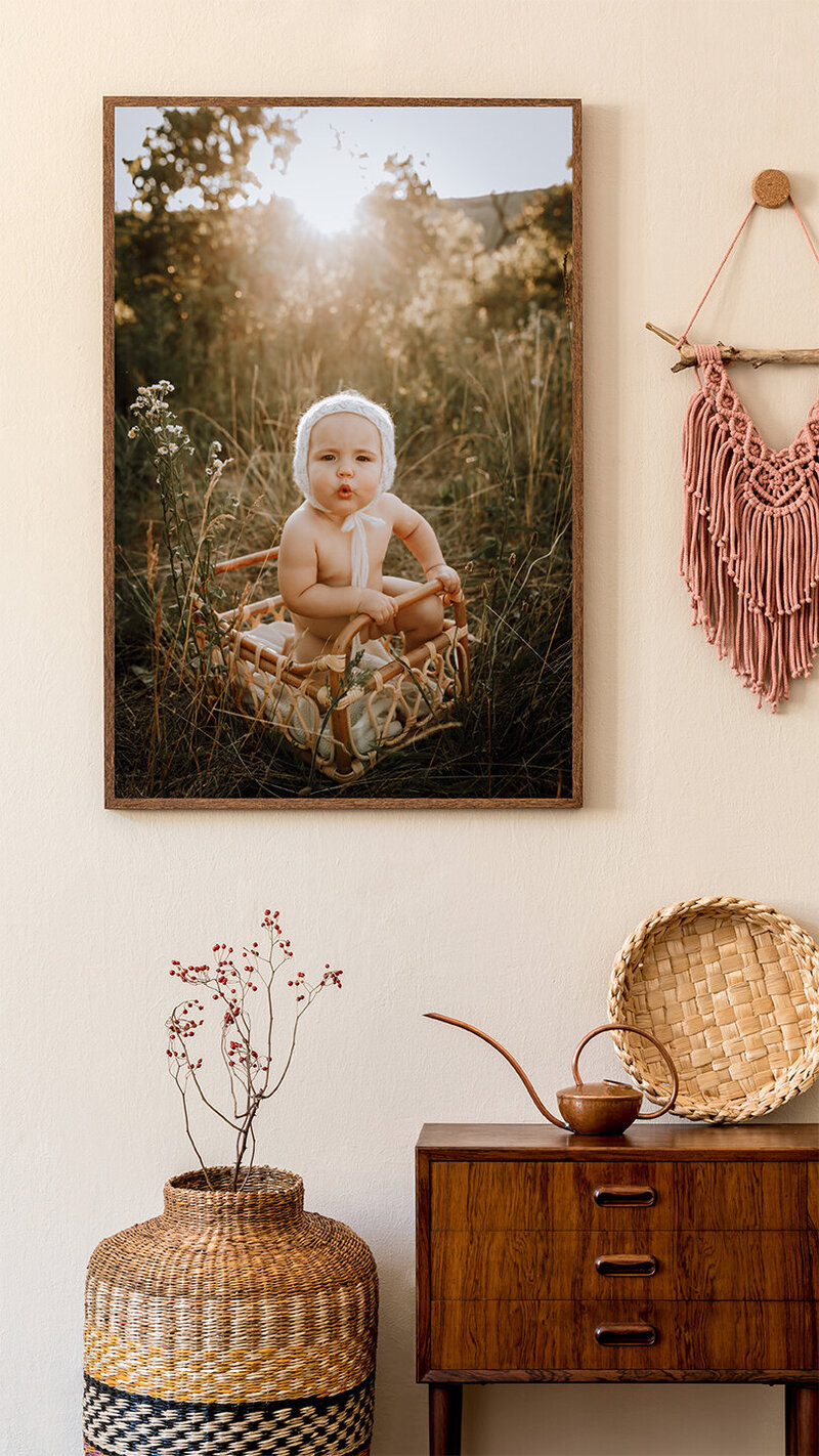 A portrait of a living room with a piece of art hanging on the wall of a baby in a gorgeous field