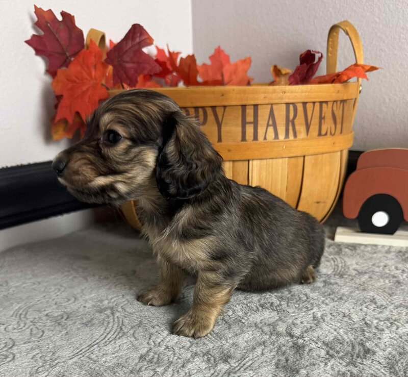 1ac795fa-771a-413d-b996-a0ca89544967