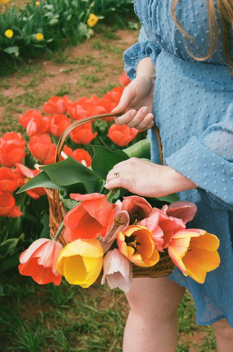 Flower on film