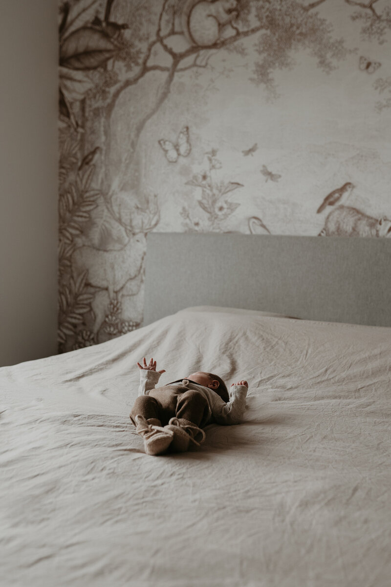 Eloi newborn2